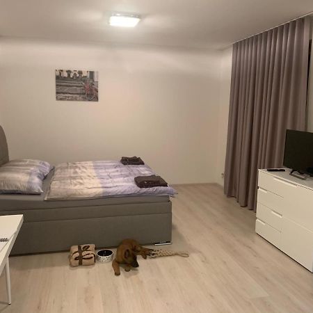 Modern Apartment In The City Center Plzen Exterior photo